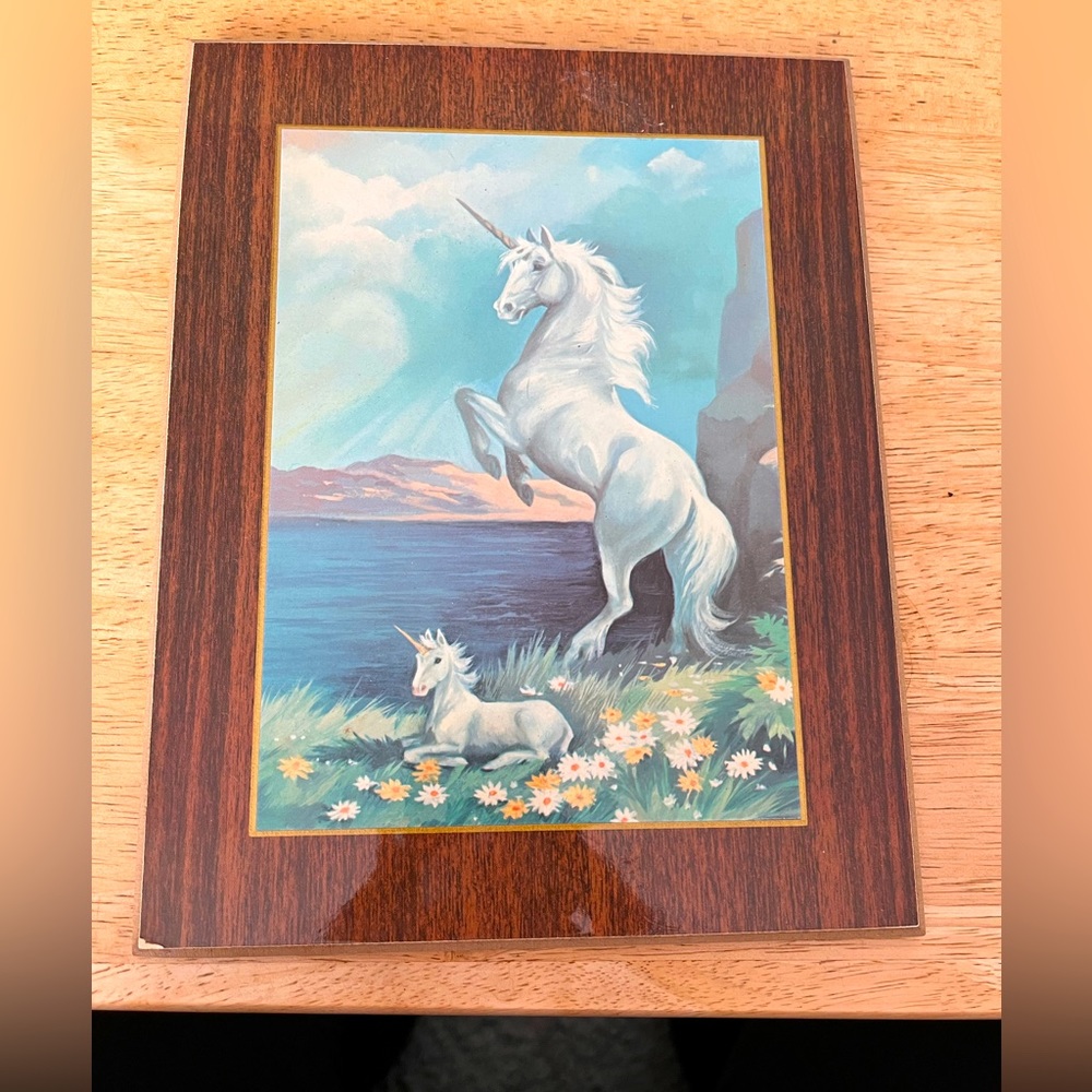 7x9 inch unicorn picture.